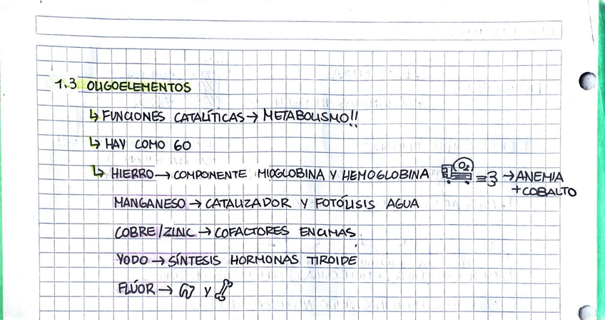 Miniatura del documento IMG4322.jpeg