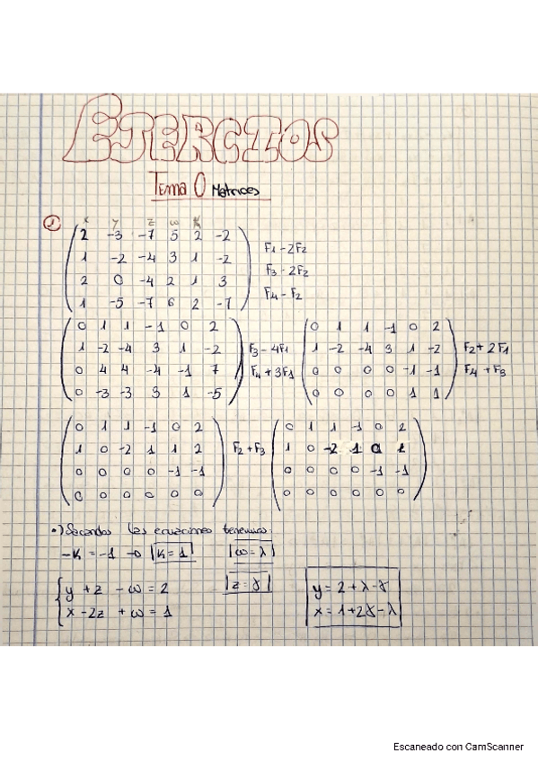 Miniatura del documento Ejercicios-matrices.pdf