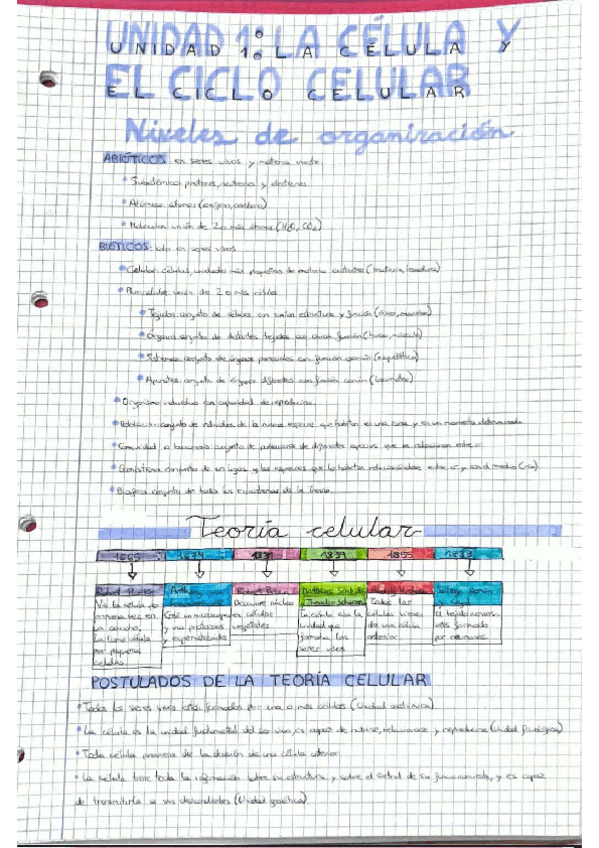 Miniatura del documento EL-CICLO-CELULAR.pdf
