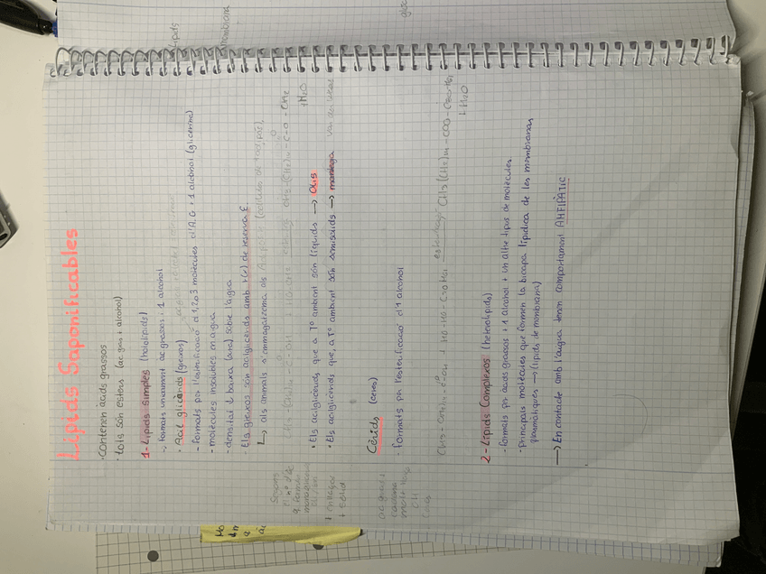 Miniatura del documento image.jpg