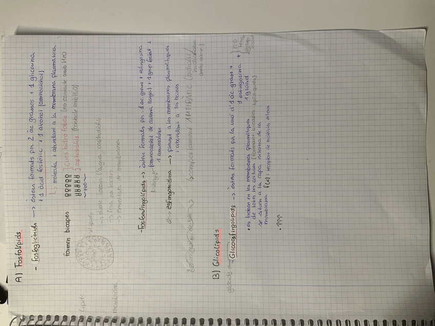 Miniatura del documento image.jpg