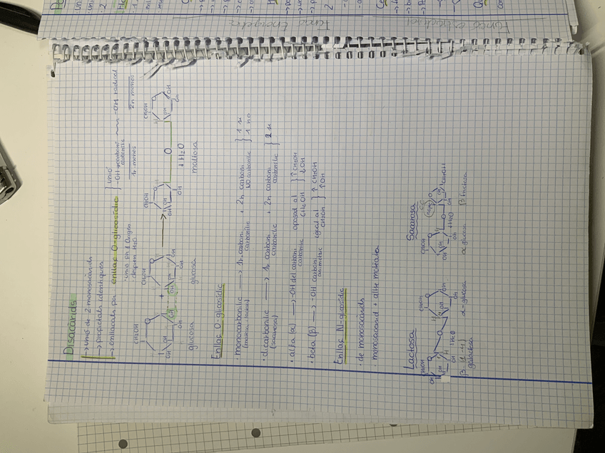 Miniatura del documento image.jpg