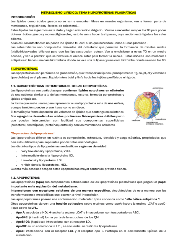 Miniatura del documento TEMA-9.1-LIPOPROTEINAS.pdf