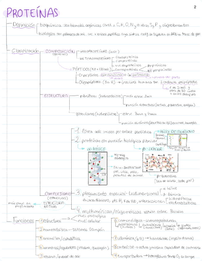 Miniatura del documento Biomoléculas orgánicas: Proteinas.pdf.pdf.pdf