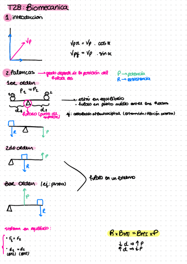 Miniatura del documento T-Biomecanica.pdf