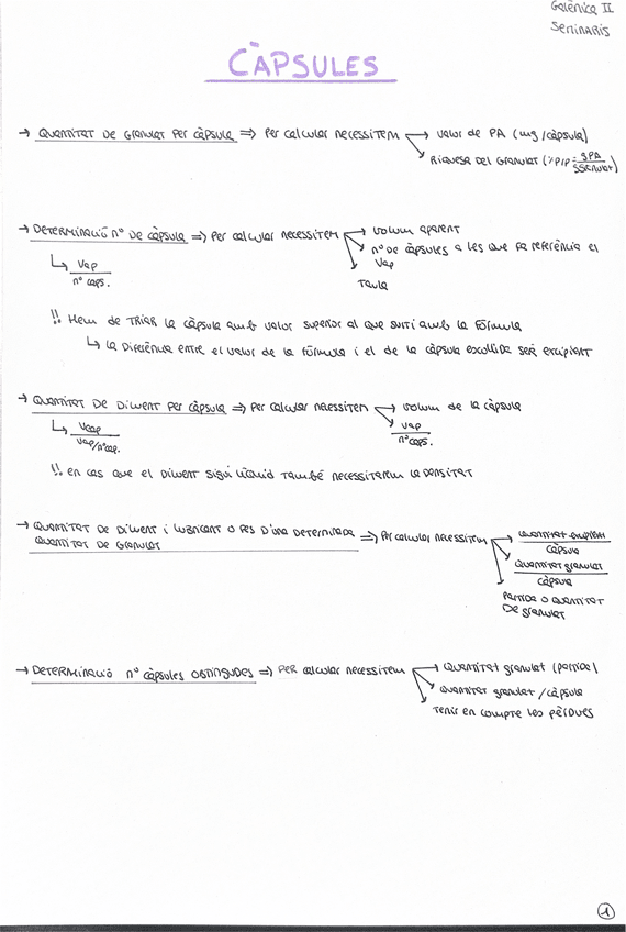 Miniatura del documento Seminari-1.-Capsules.pdf