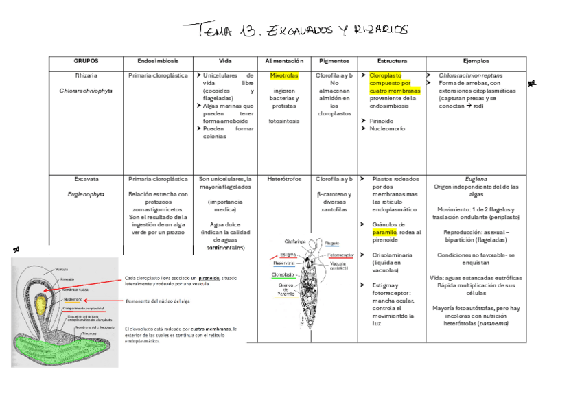 Miniatura del documento Tema13tabla.pdf