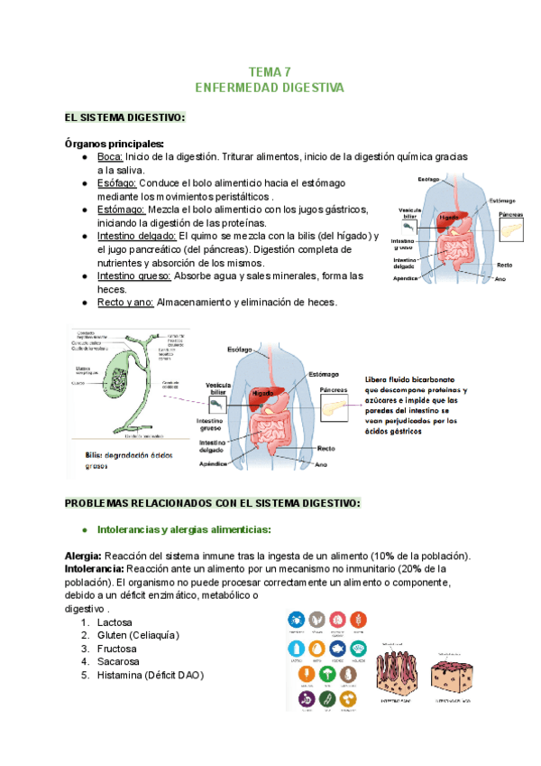 Miniatura del documento TEMA-7-SALUD-1.pdf