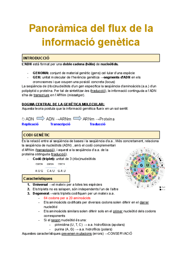 Miniatura del documento B3-T7-Panoramica-del-flux-de-la-informacio-genetica.pdf