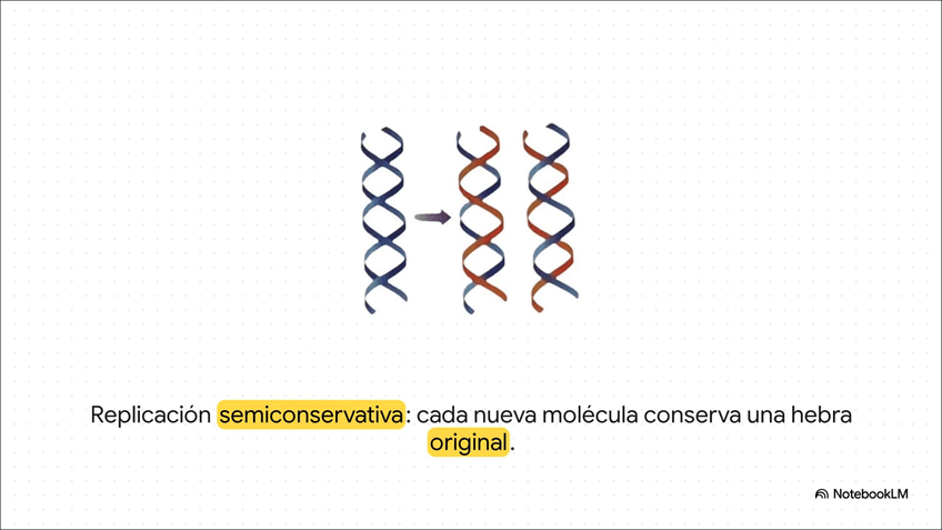 Miniatura del documento Genetica-molecular.mp4