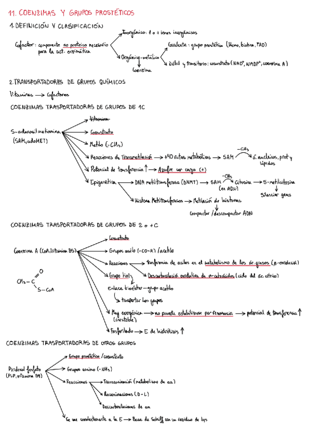 Miniatura del documento Tema-11.pdf