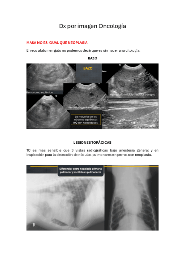 Miniatura del documento Resumen-segun-preguntas-Dx-por-imagen-Oncologia.pdf