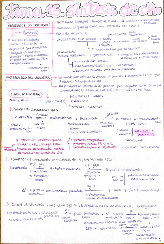 Miniatura del documento Esquema-tema-15-bioquimica.pdf