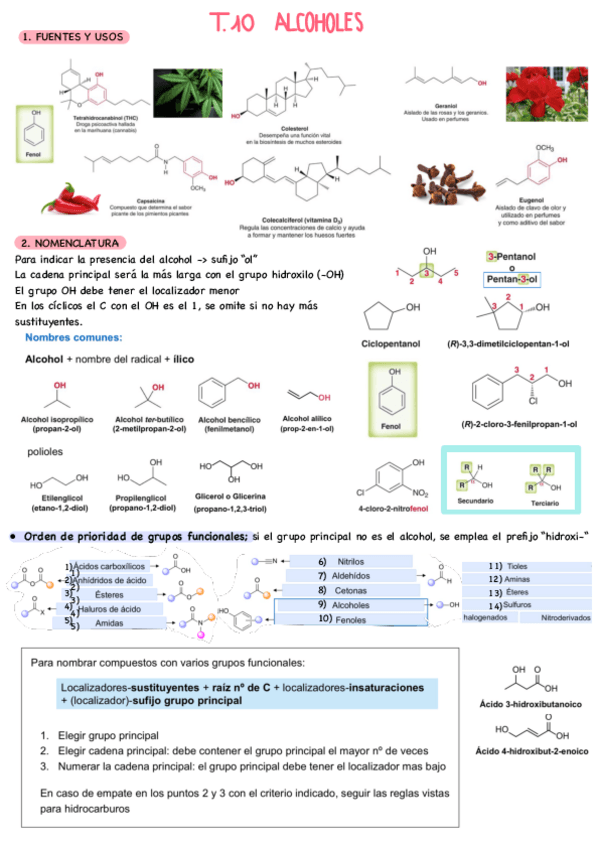Miniatura del documento T.10-Q.organica-I.pdf