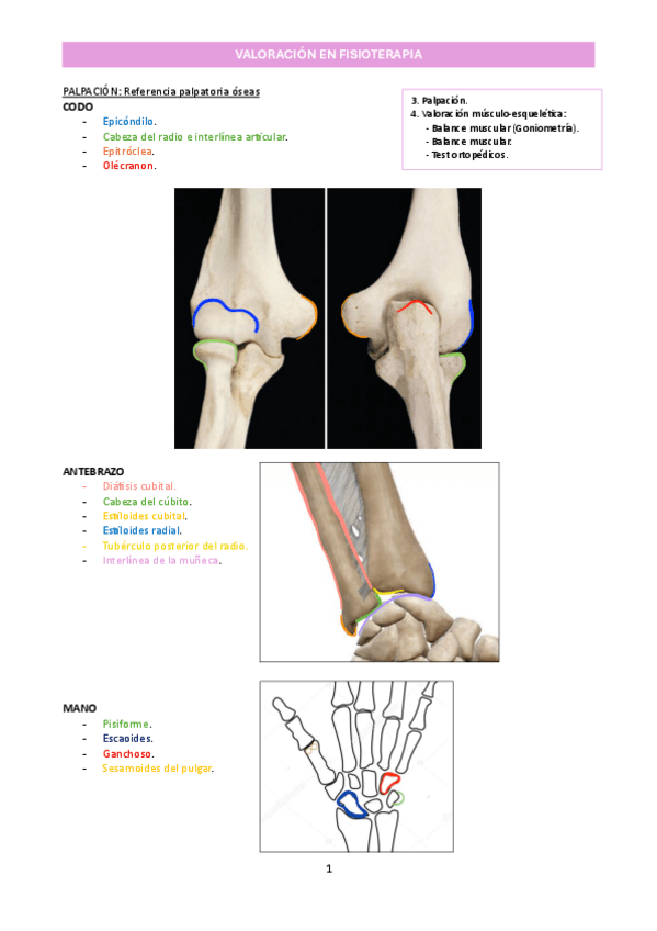Miniatura del documento T9_Valoración de codo, antebrazo y muñeca_Valoración en fisioterapia.pdf.pdf
