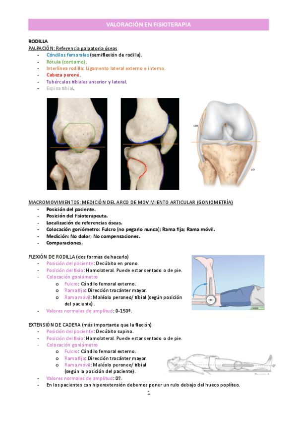 Miniatura del documento T11_Valoración de rodilla_Valoración en fisioterapia.pdf.pdf