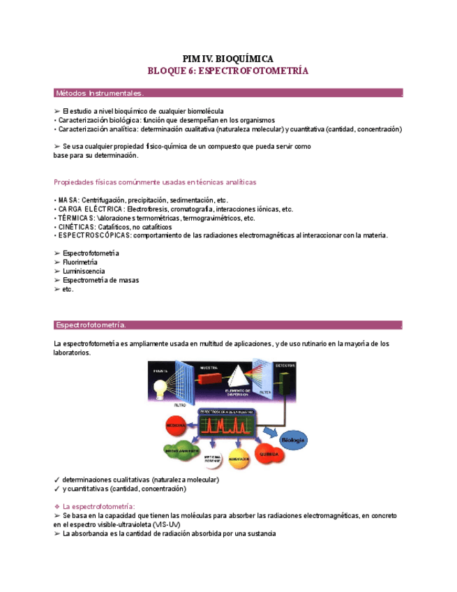 Miniatura del documento Bloque-6-PIM-IV.pdf