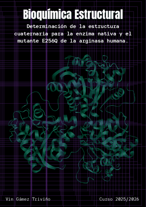 Miniatura del documento Informe-Practicas-Estructural.pdf