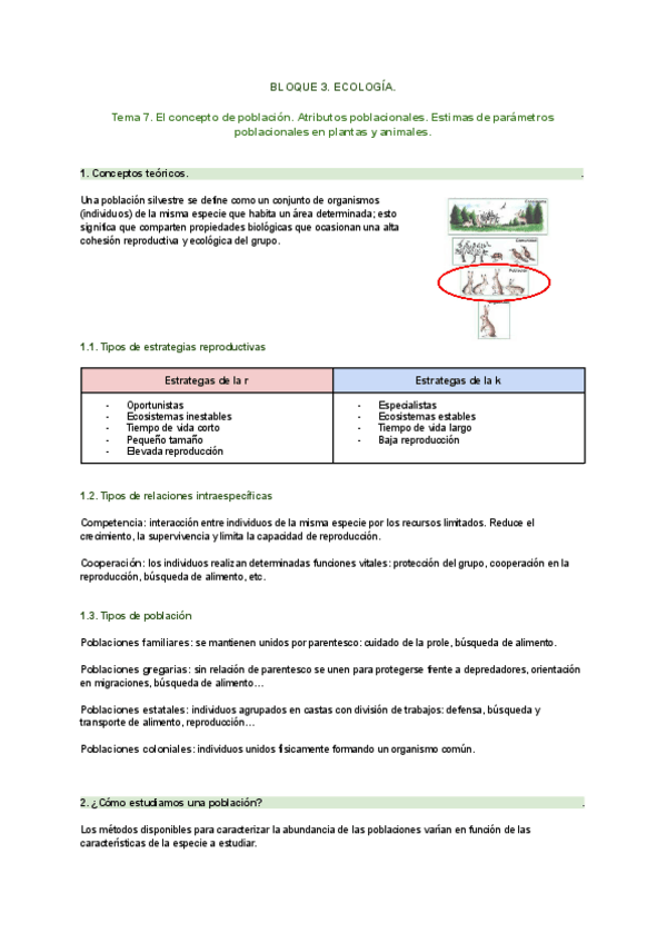 Miniatura del documento PIM-III.-Bloque-3.-Tema-7.pdf