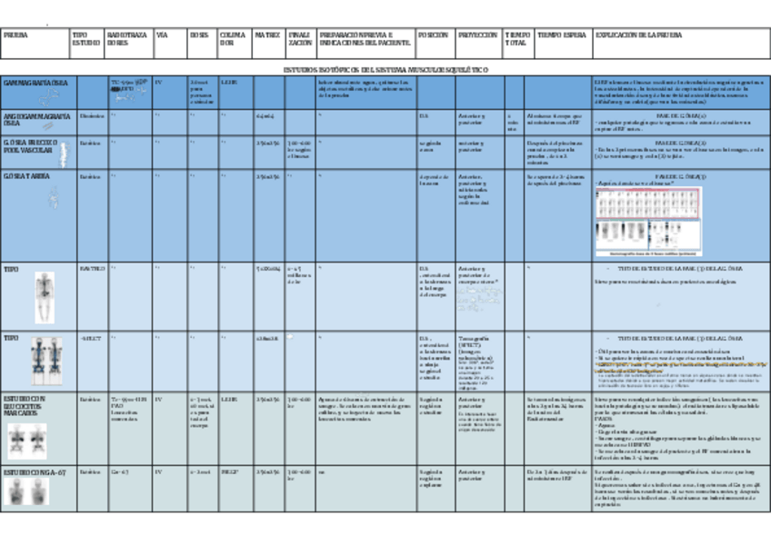 Miniatura del documento Estudios-isotopicos-del-sistema-ME-.-MN-2.pdf