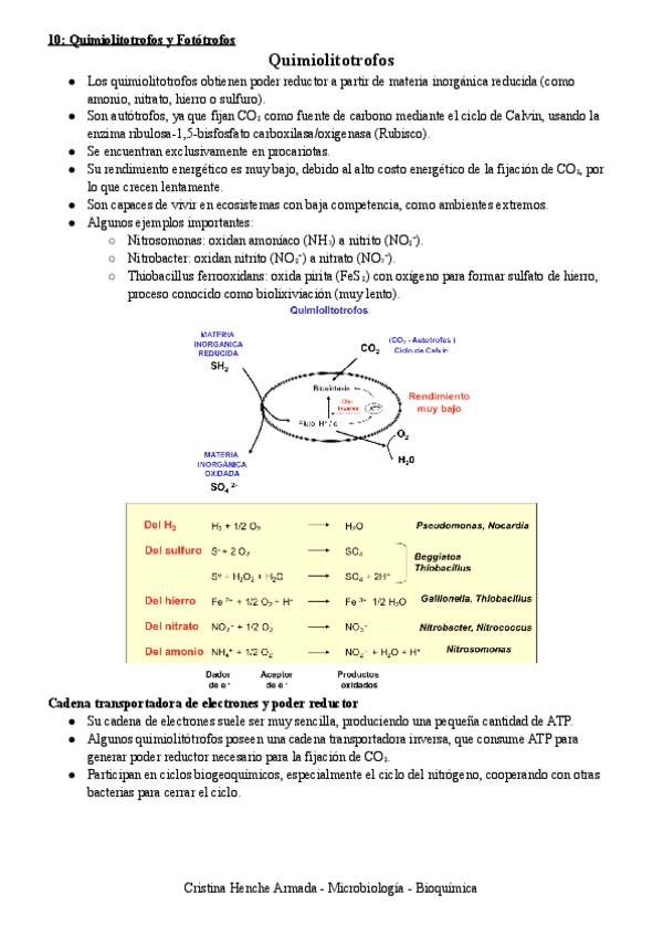 Miniatura del documento 10-Quimiolitotrofos-y-Fototrofos.pdf