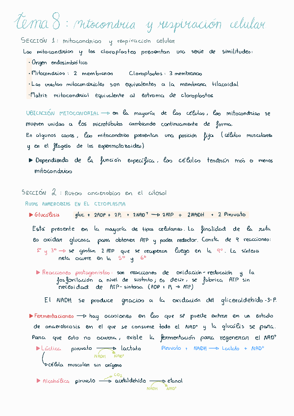 Miniatura del documento Tema-8251201164054.pdf