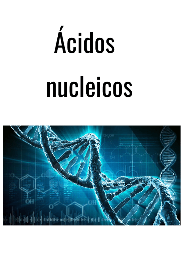 Miniatura del documento Tema-6-Acidos-nucleicos.pdf