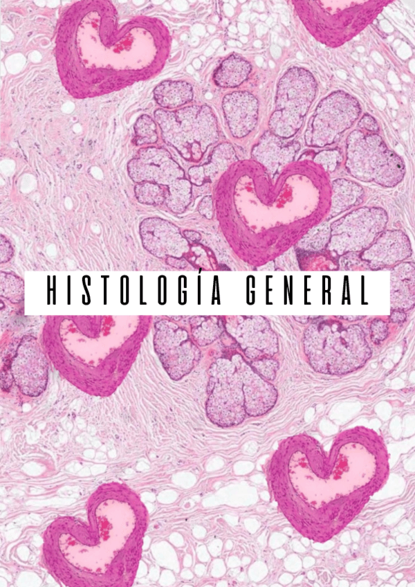 Miniatura del documento Apuntes-HISTOLOGIA-GENERAL+Material-Complementario.pdf.pdf