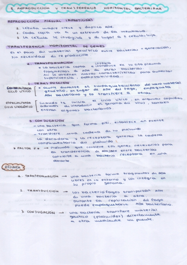 Miniatura del documento Tema-3-Microorganismos.jpg