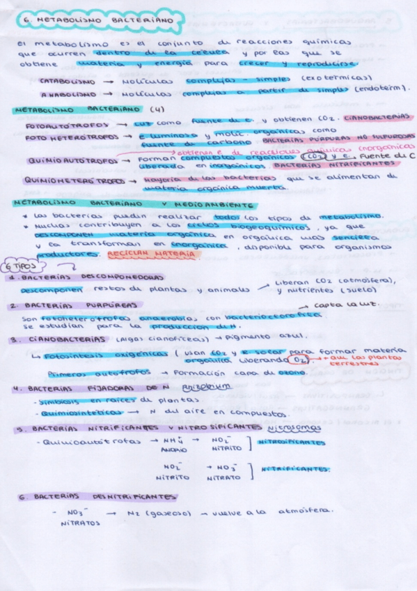 Miniatura del documento Tema-3-Microorganismos36987.jpg