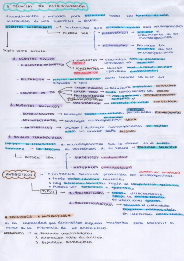 Miniatura del documento Tema-3-Microorganismos.jpg
