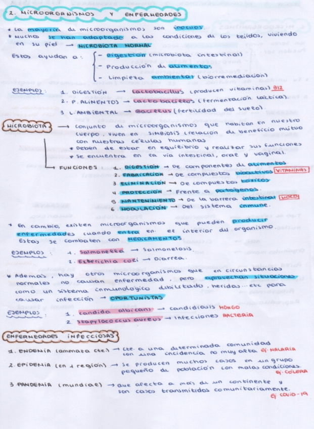 Miniatura del documento Tema-3-Microorganismos.jpg