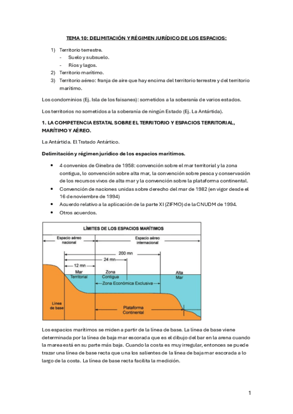 Miniatura del documento TEMA-10.pdf