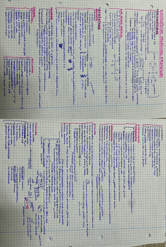Miniatura del documento AD018E96-75AA-431F-951A-0F0EBE02086E.jpeg