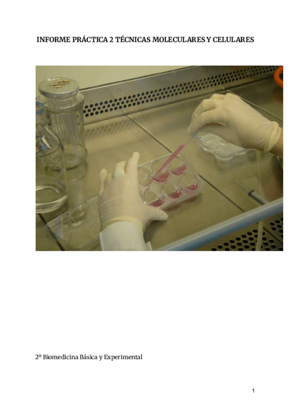 Miniatura del documento INFORME-TECNICAS-CULTIVOS-CEL.pdf