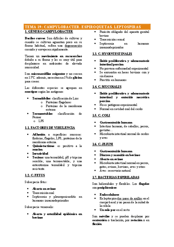 Miniatura del documento TEMA-19.pdf