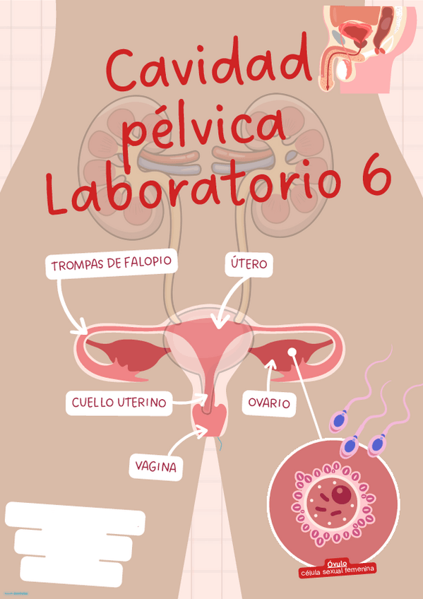 Miniatura del documento Practica-6-formato-comprimido.pdf.pdf