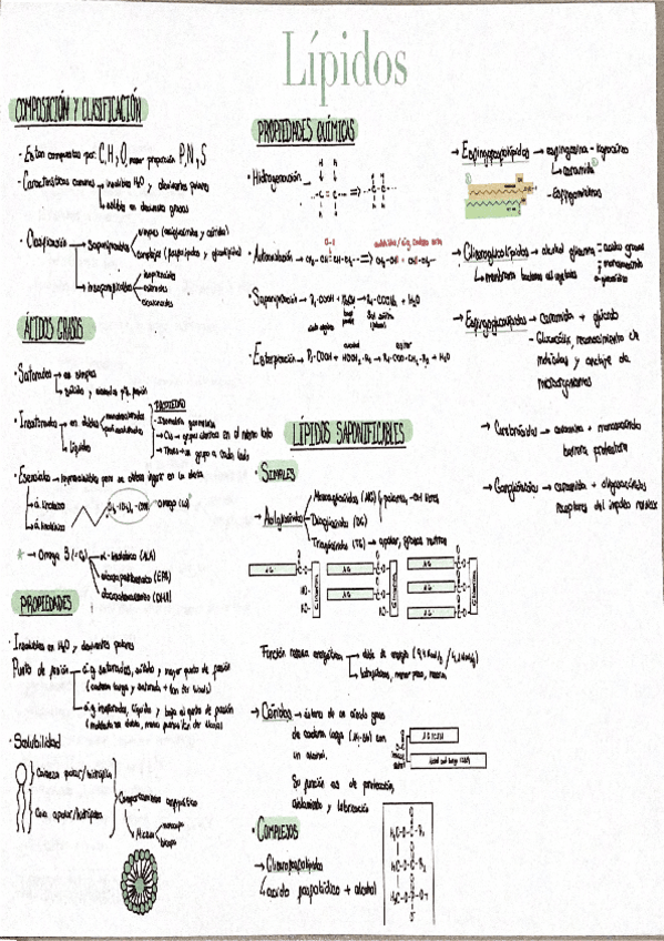 Miniatura del documento Resumen-tema-3-lipidos.pdf