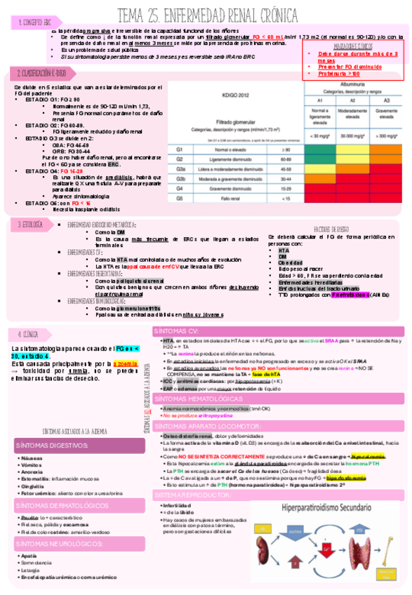Miniatura del documento T.25-ERC-NEFROURO.pdf