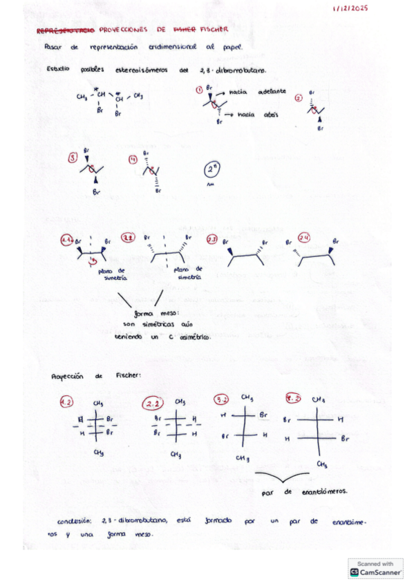 Miniatura del documento Apuntes-de-clase.-Proyecciones-de-Fischer.pdf