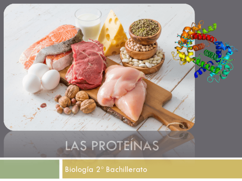 Miniatura del documento U4enzimas.pdf