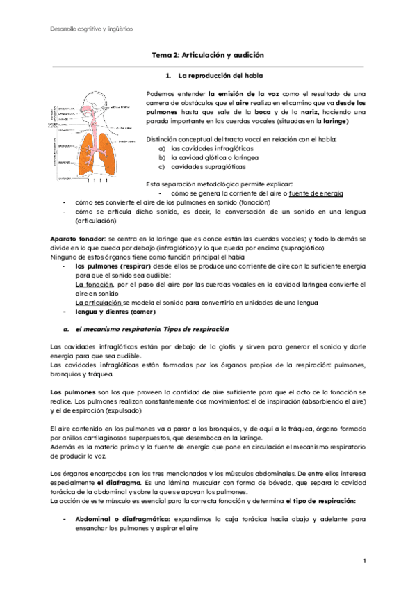 Miniatura del documento Tema-2-Articulacion-y-audicion.pdf