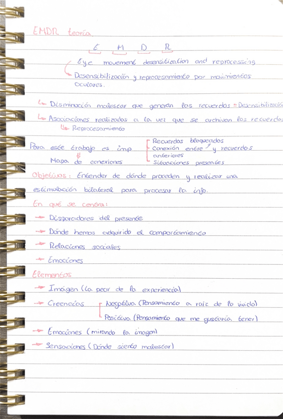 Miniatura del documento Teoria-EMDR-psicologia.pdf
