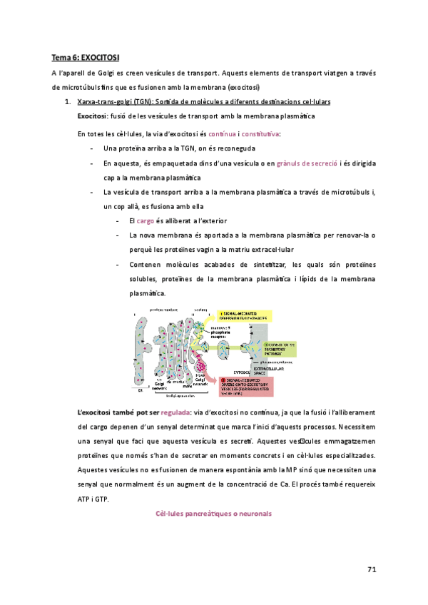 Miniatura del documento Apunts-t.6-EXOCITOSI.pdf
