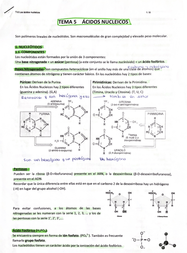 Miniatura del documento TEMA-5-2-BACH-ACIDOS-NUCLEICOS.pdf