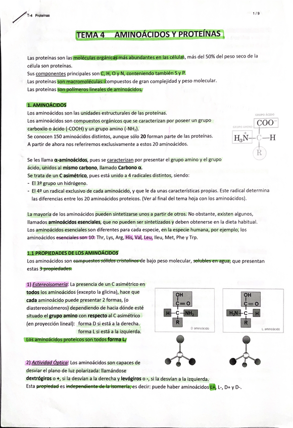 Miniatura del documento TEMA-4-2-BACH-AMINOACIDOS-Y-PROTEINAS.pdf