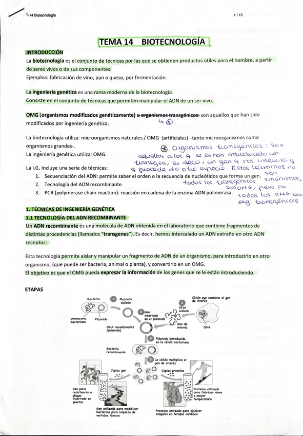 Miniatura del documento TEMA-14-2-BACH-BIOTECNOLOGIA.pdf