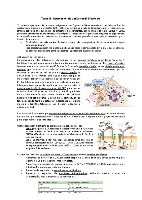 Miniatura del documento Tema-16-Inmunologia.pdf