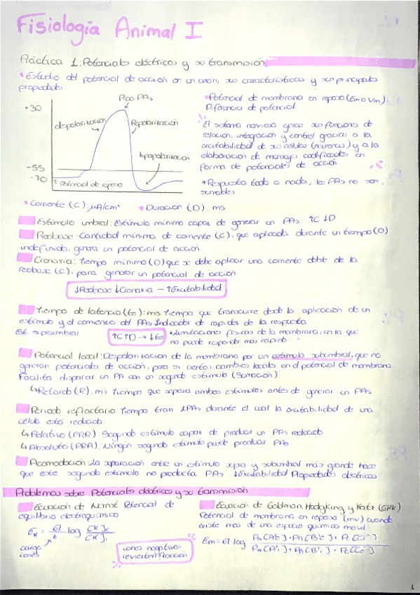 Miniatura del documento APUNTES-TODAS-LAS-PRACTICAS-FA.pdf