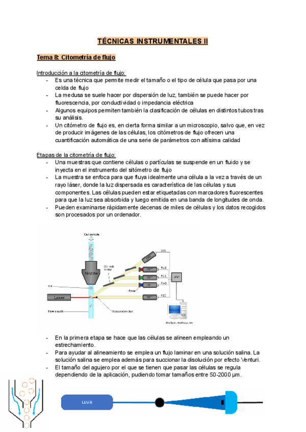 Miniatura del documento tecnicas-T8.pdf